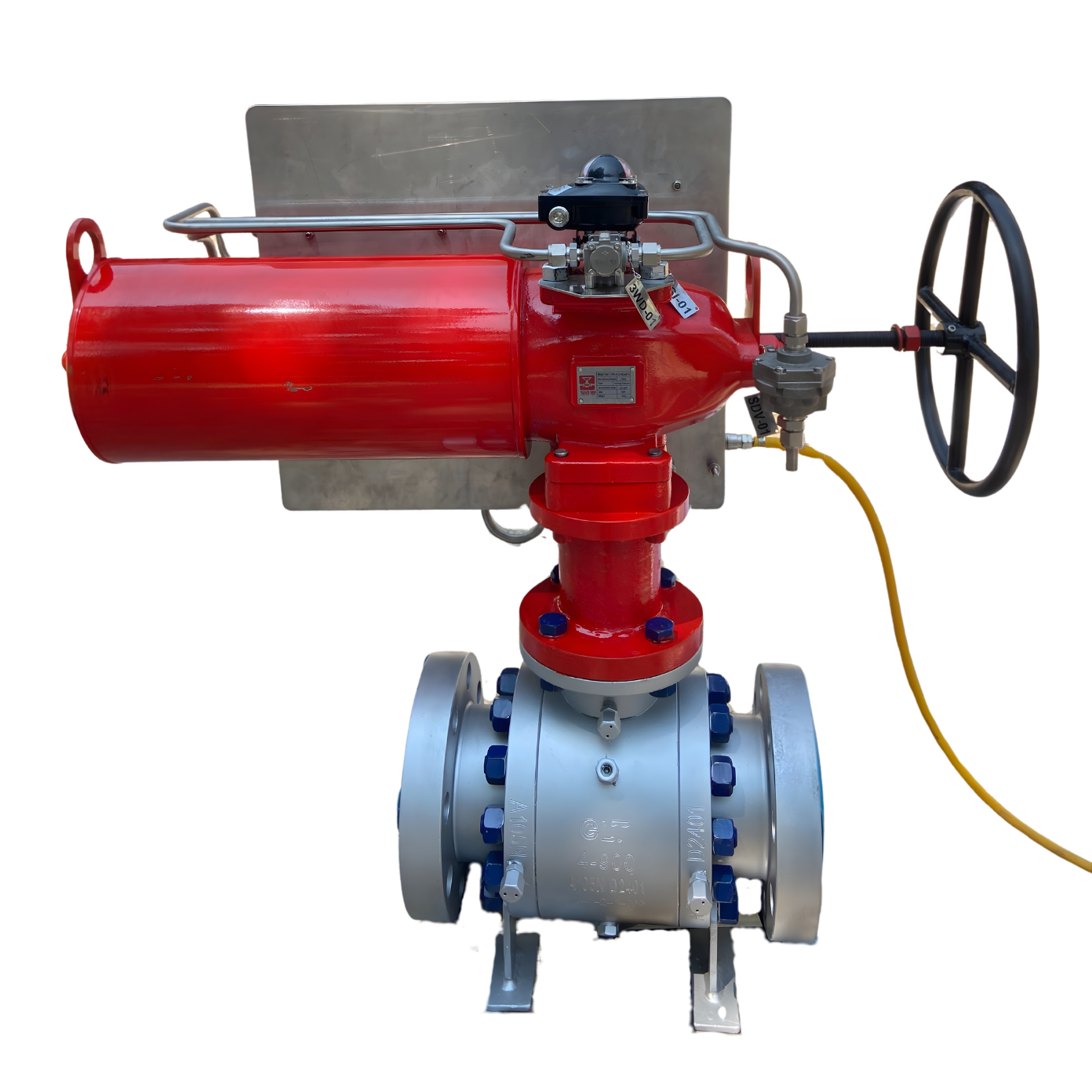 Shutdown Valve Package